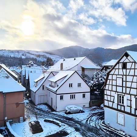 Duplex Moderne A 10 Minutes De Colmar Apartment Wintzenheim Exterior foto